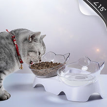 Load image into Gallery viewer, Haustier Katze Schüssel Dual-use-Transparent Schalen Schützen Halswirbel Tilt Mund Trinken Wasser Lebensmittel Lagerung Schüssel Für Hunde katzen
